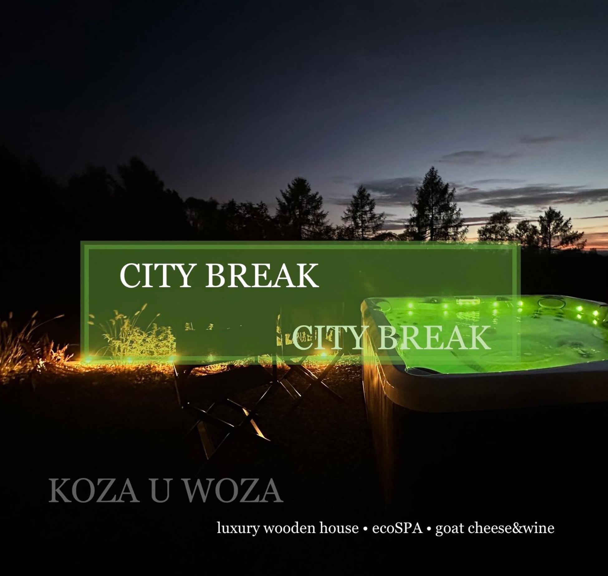 Koza U Woza Wypocznij W Gorach W Rytmie Slow Drewniany Dom Premium Z Widokiem Na Panorame Tatr Ecospa Strefa Fitness Zielona Farma Warsztaty (Adults Only) Szlembark Εξωτερικό φωτογραφία